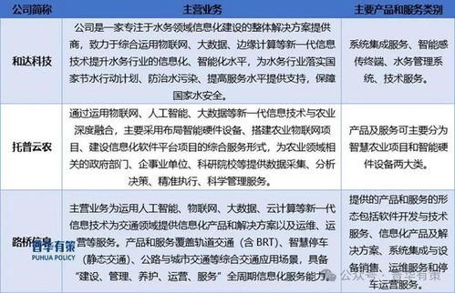 2024-2030年軟件和信息服務(wù)行業(yè)專項調(diào)研及投資前景預(yù)測分析報告