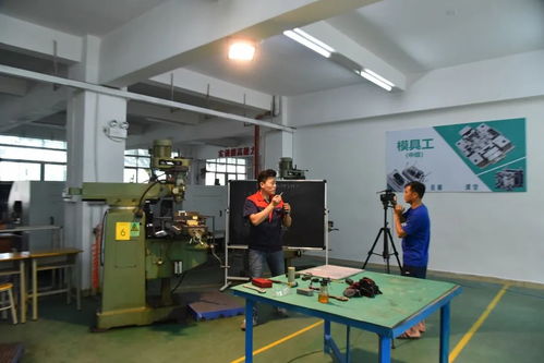 創新培訓服務企業 寶山技工全面啟動企業適崗培訓工作，聚焦信息技術咨詢服務